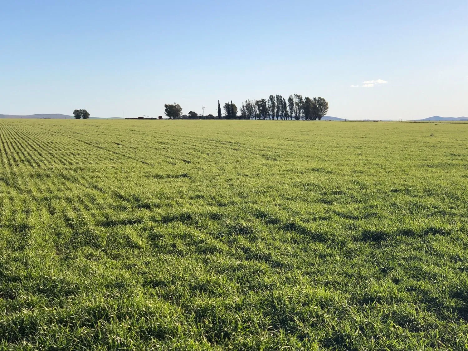 Excelente campo ubicado sobre ruta