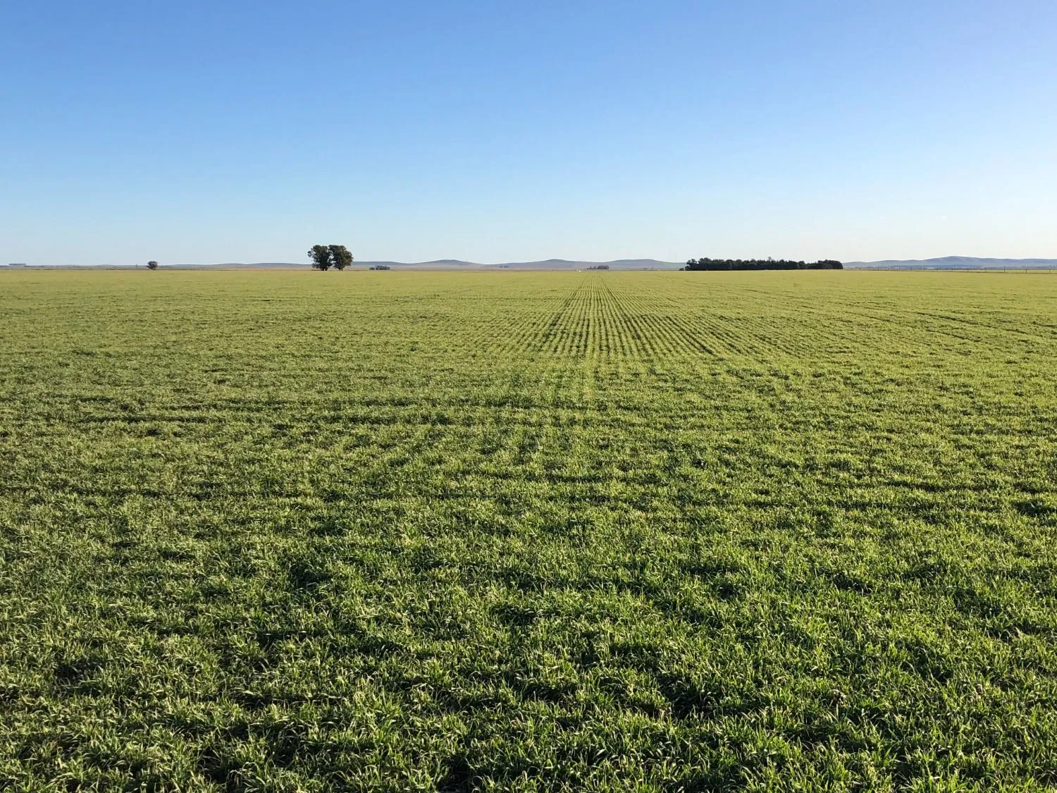 Excelente campo ubicado sobre ruta