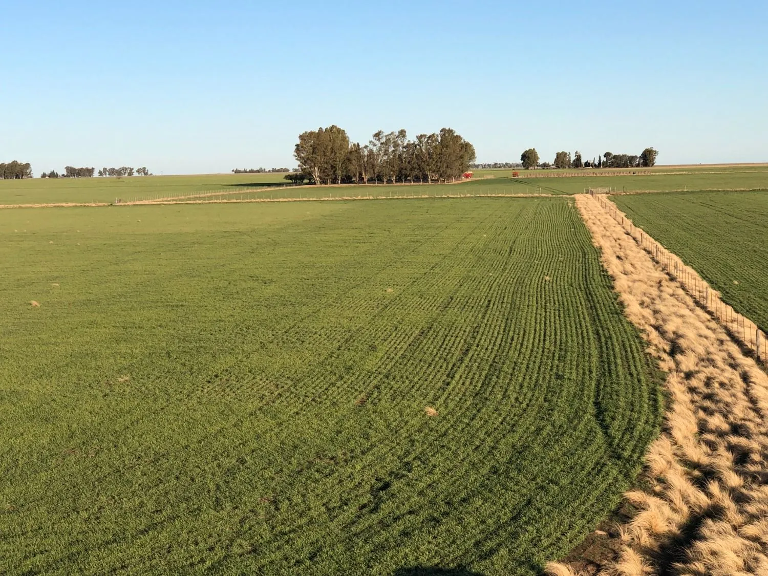 Excelente campo ubicado sobre ruta