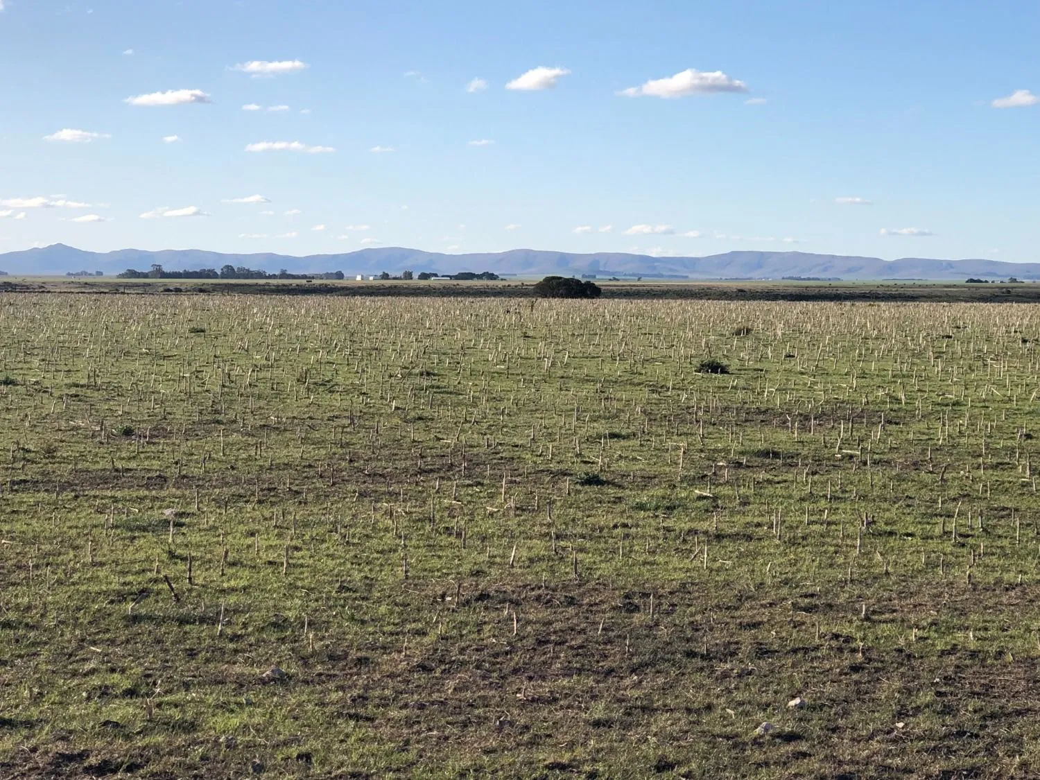 Excelente campo ubicado sobre ruta