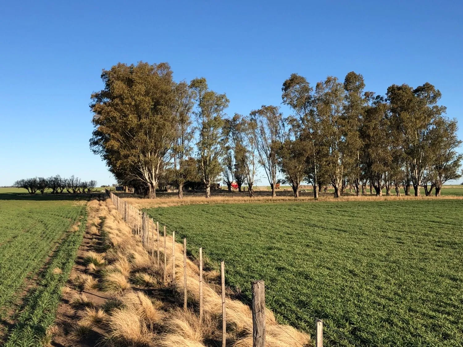 Excelente campo ubicado sobre ruta