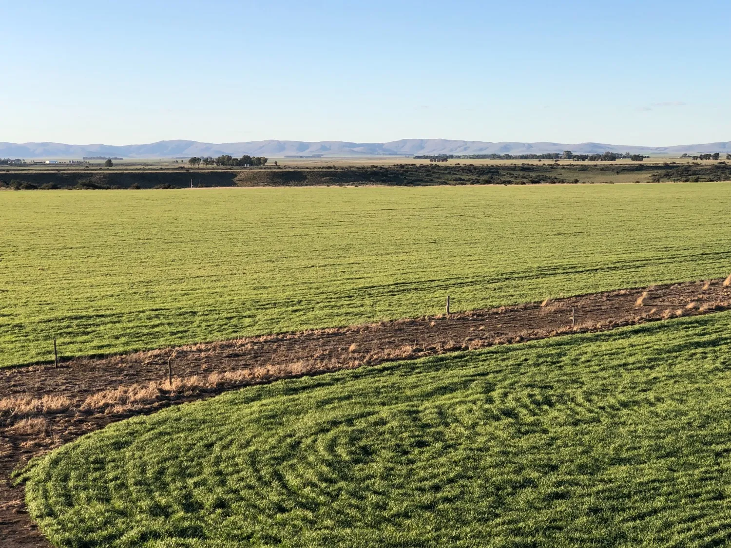 Excelente campo ubicado sobre ruta