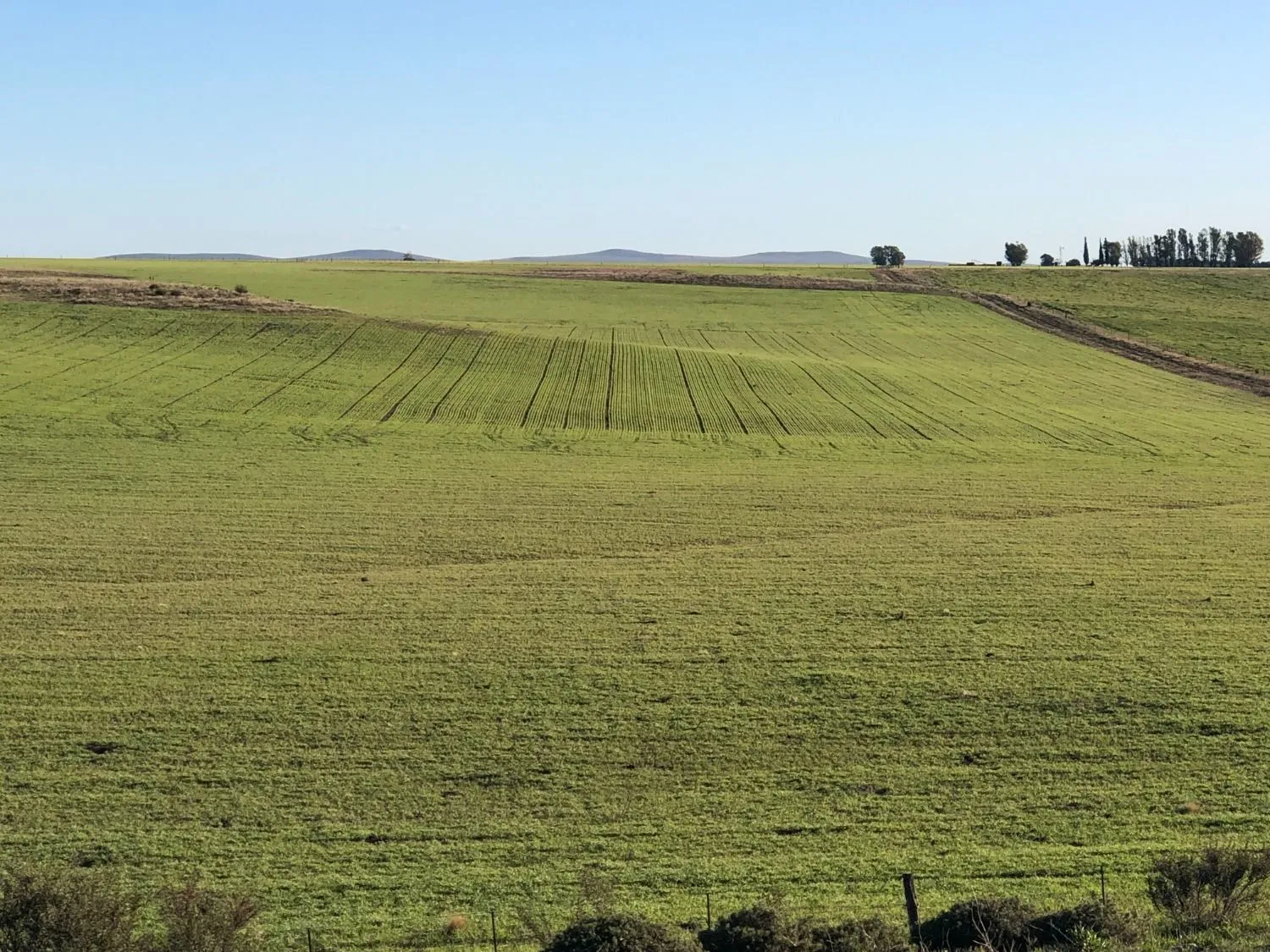 Excelente campo ubicado sobre ruta