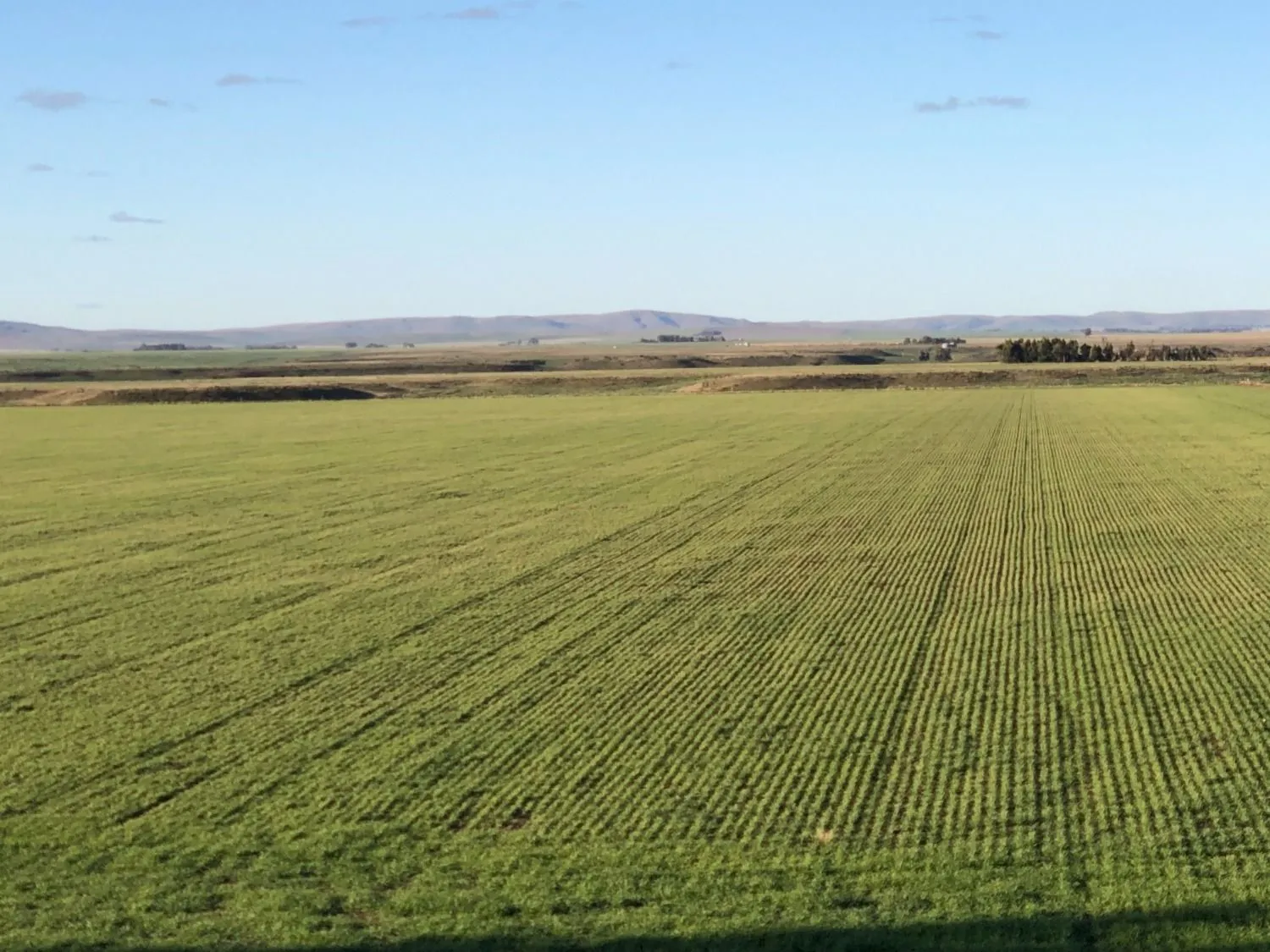 Excelente campo ubicado sobre ruta