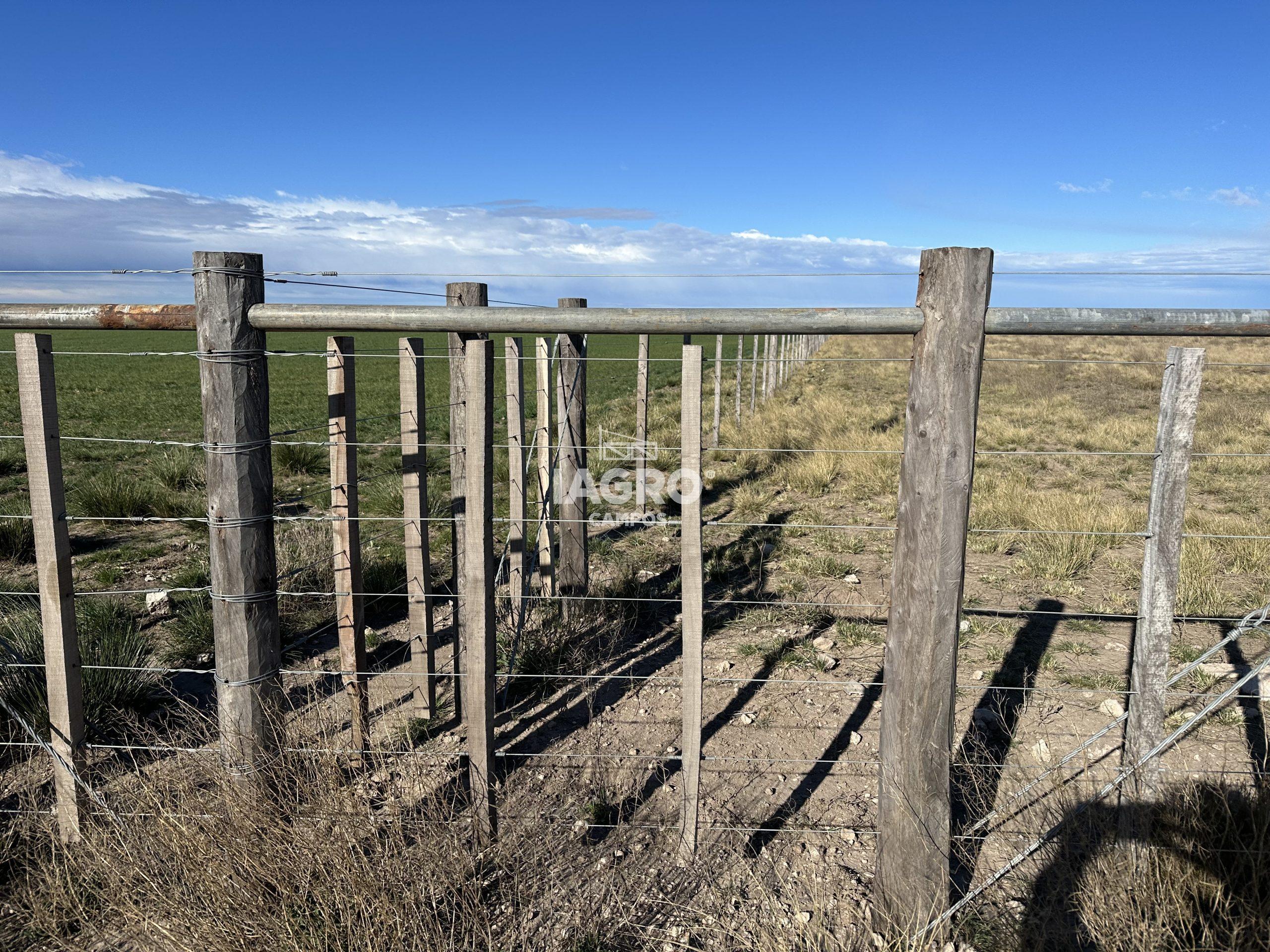 CAMPO EN VENTA DE 373 HECTAREAS EN PUAN (1)