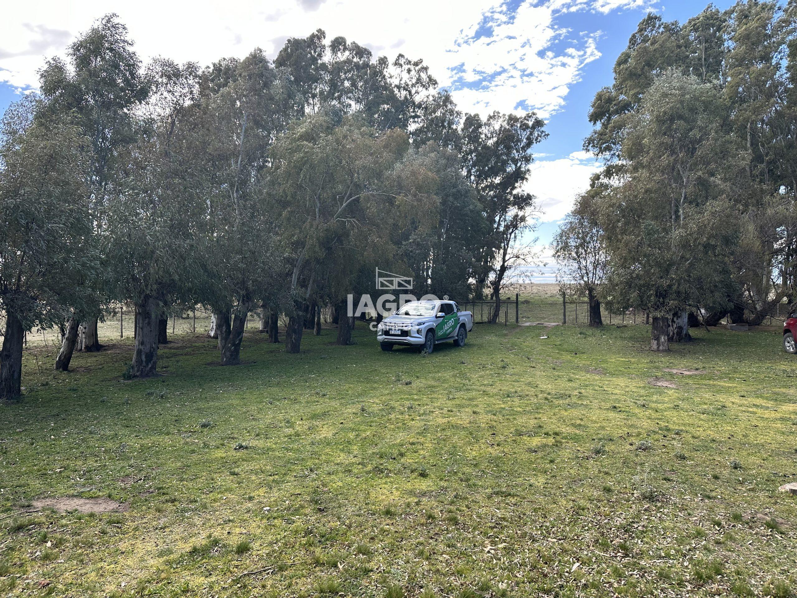 CAMPO EN VENTA DE 373 HECTAREAS EN PUAN (42)