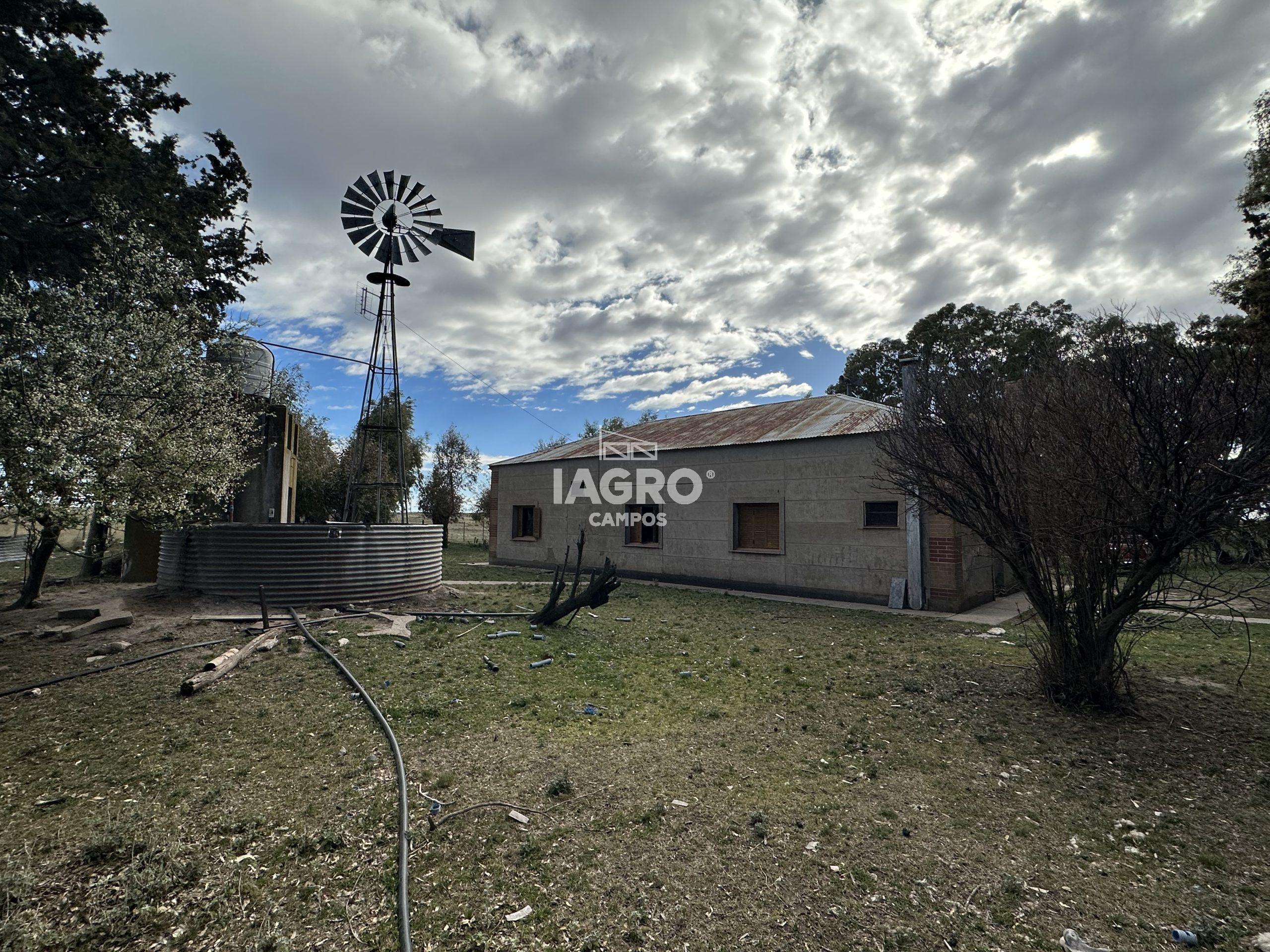 CAMPO EN VENTA DE 373 HECTAREAS EN PUAN (52)