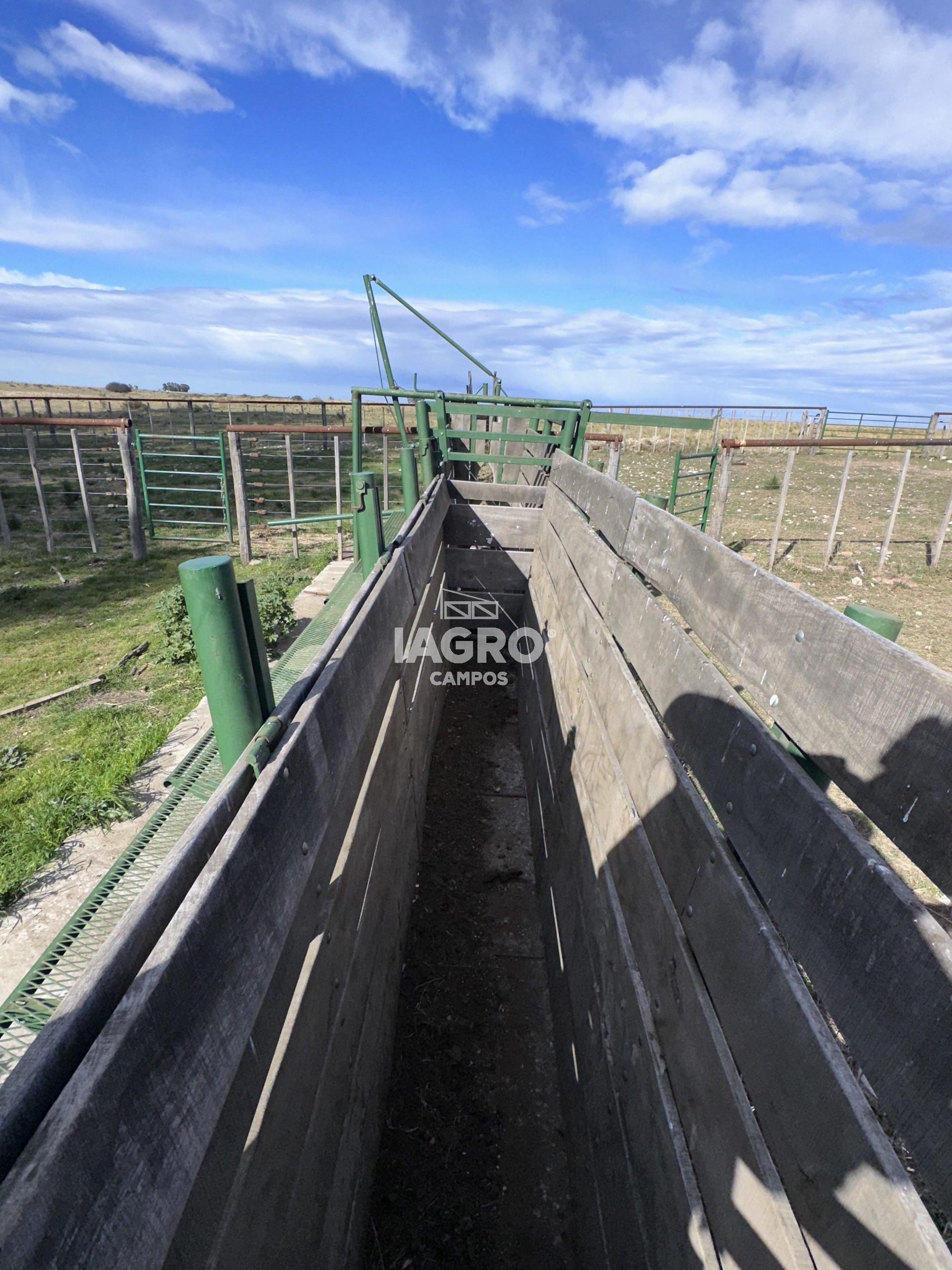 CAMPO EN VENTA DE 373 HECTAREAS EN PUAN (74)