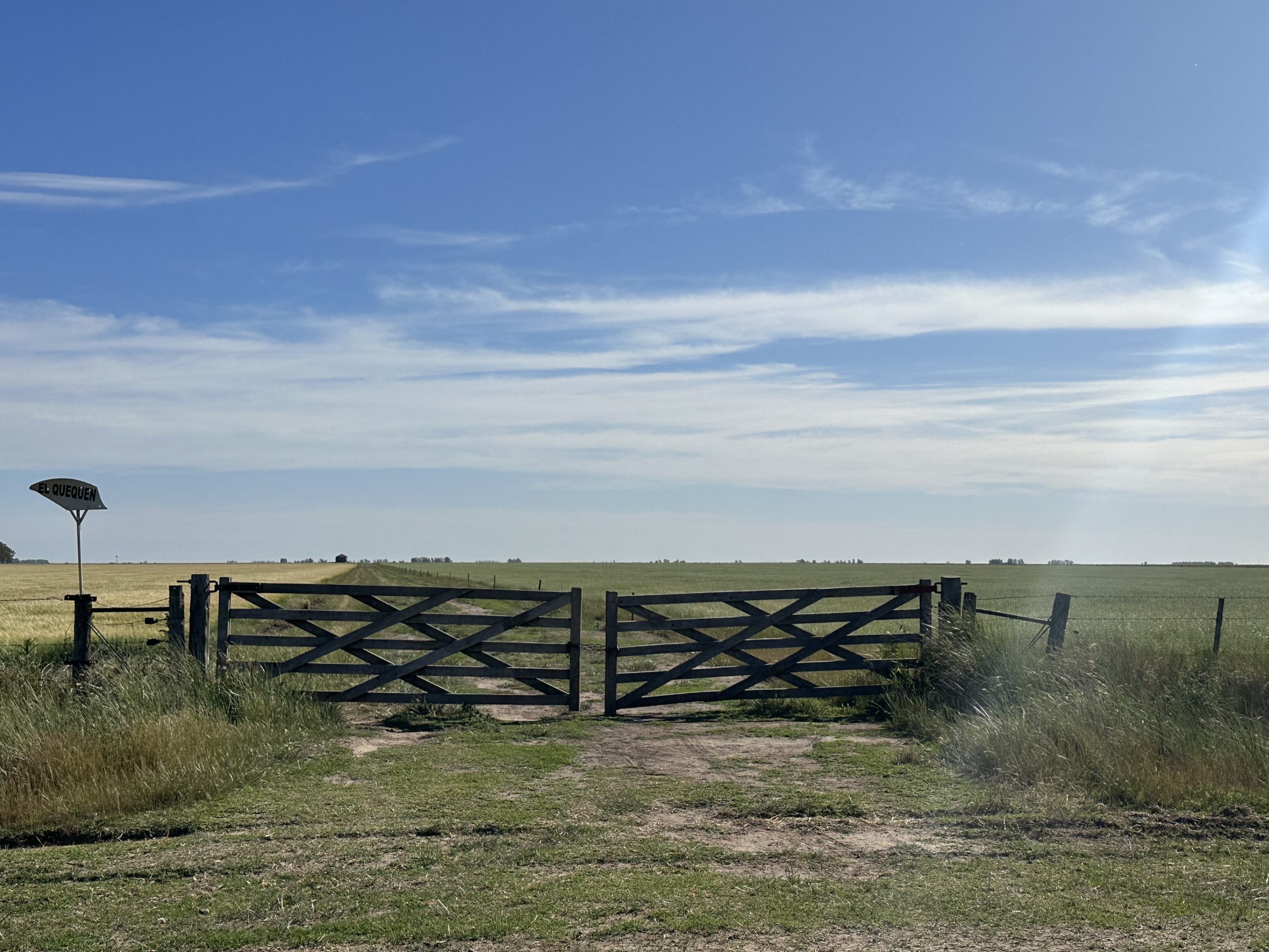 322 hectáreas en Tres Arroyos, campo mixto (11)