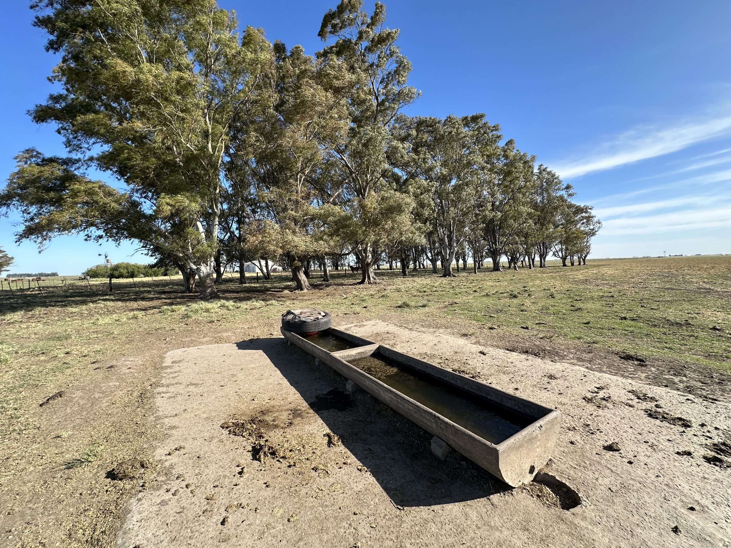 322 hectáreas en Tres Arroyos, campo mixto (31)