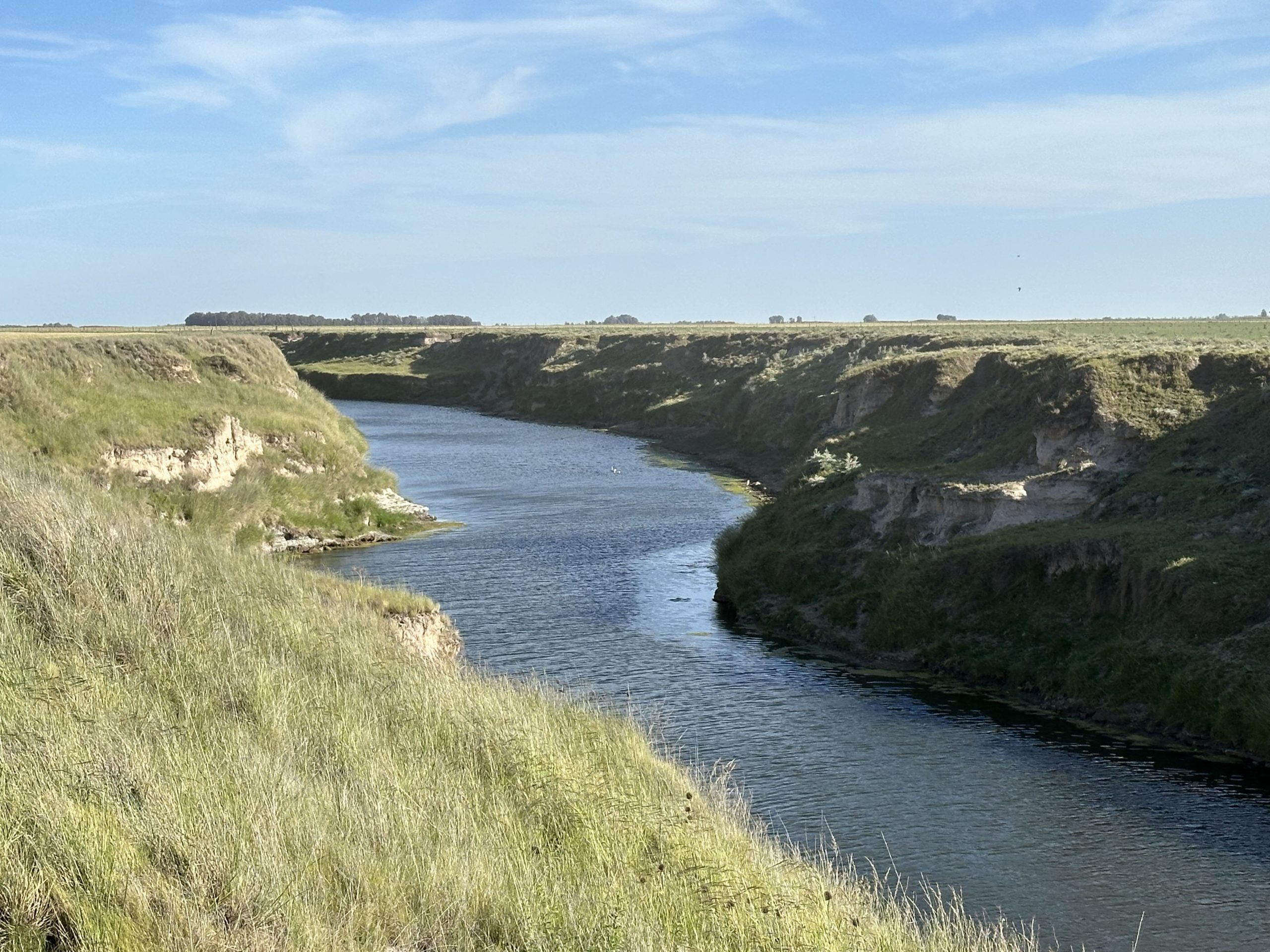 322 hectáreas en Tres Arroyos, campo mixto (46)