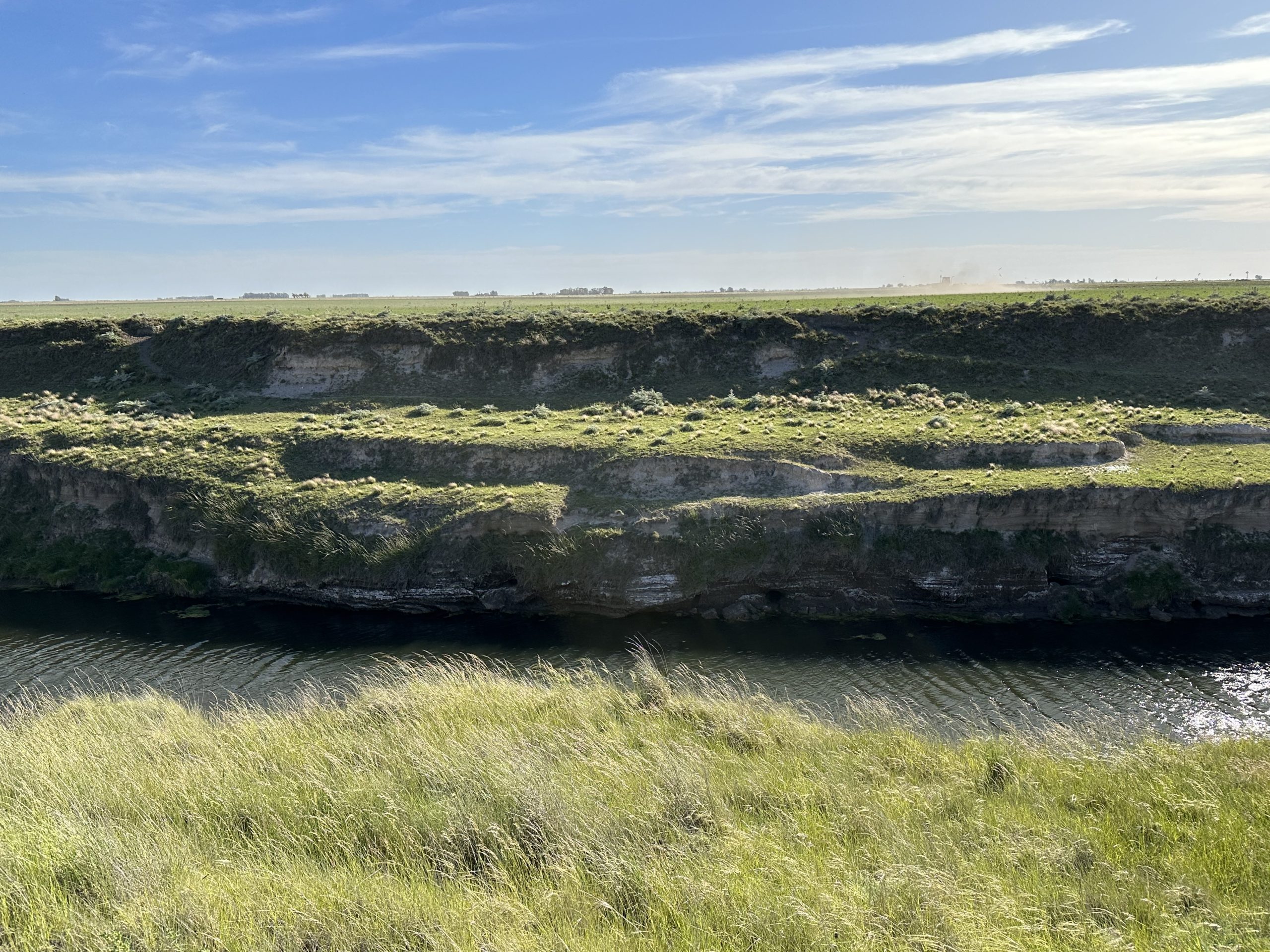 322 hectáreas en Tres Arroyos, campo mixto (48)