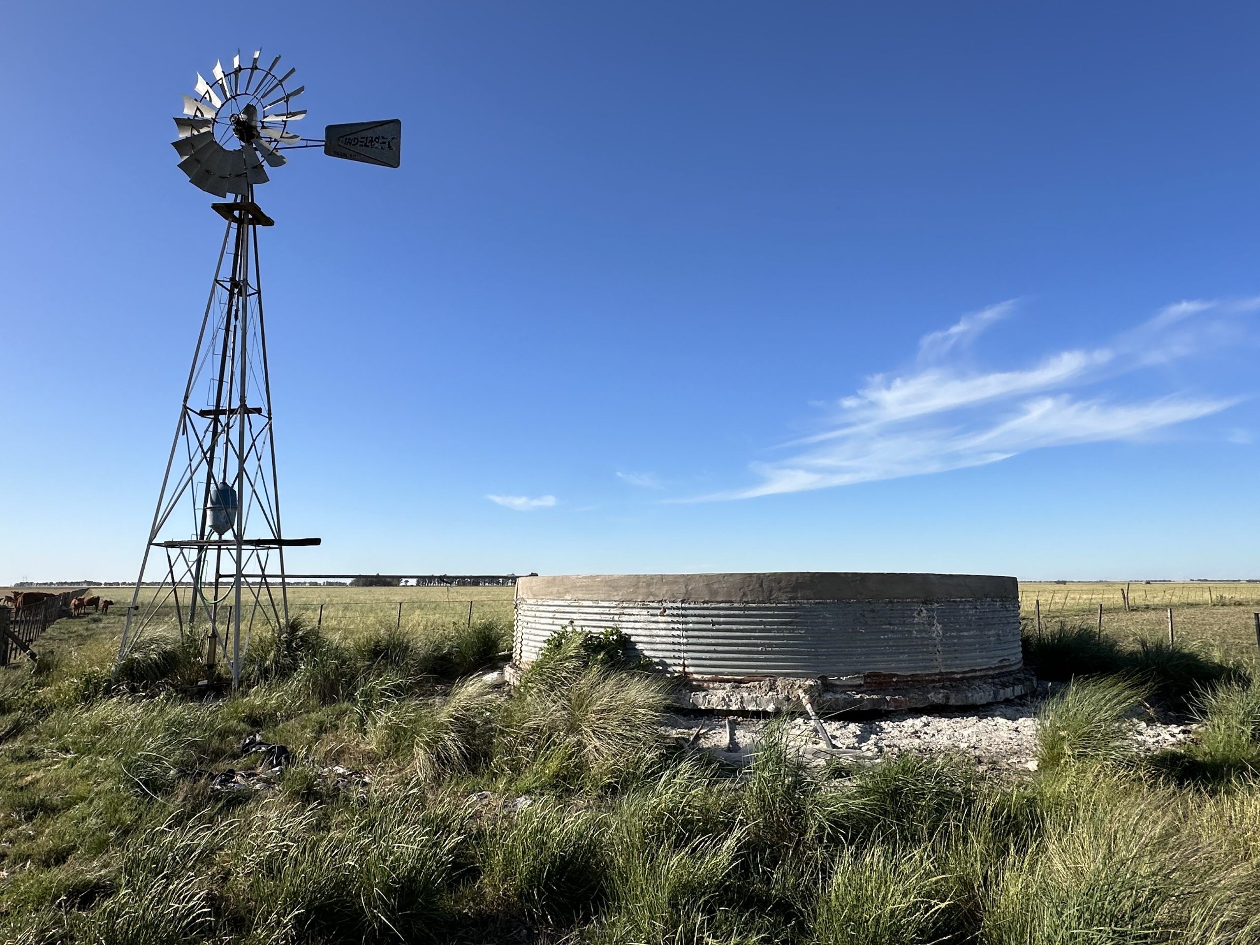 322 hectáreas en Tres Arroyos, campo mixto (56)