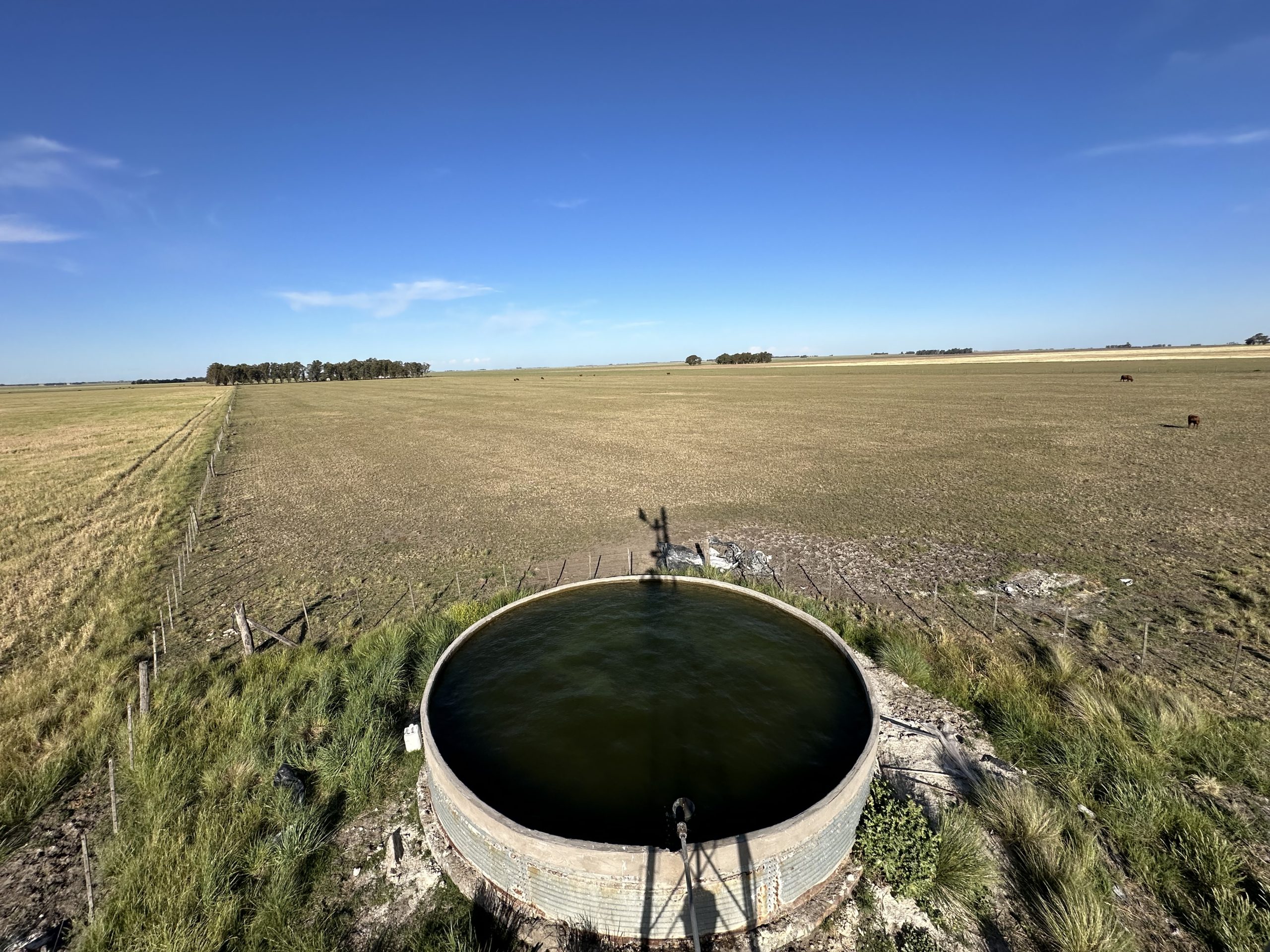 322 hectáreas en Tres Arroyos, campo mixto (61)