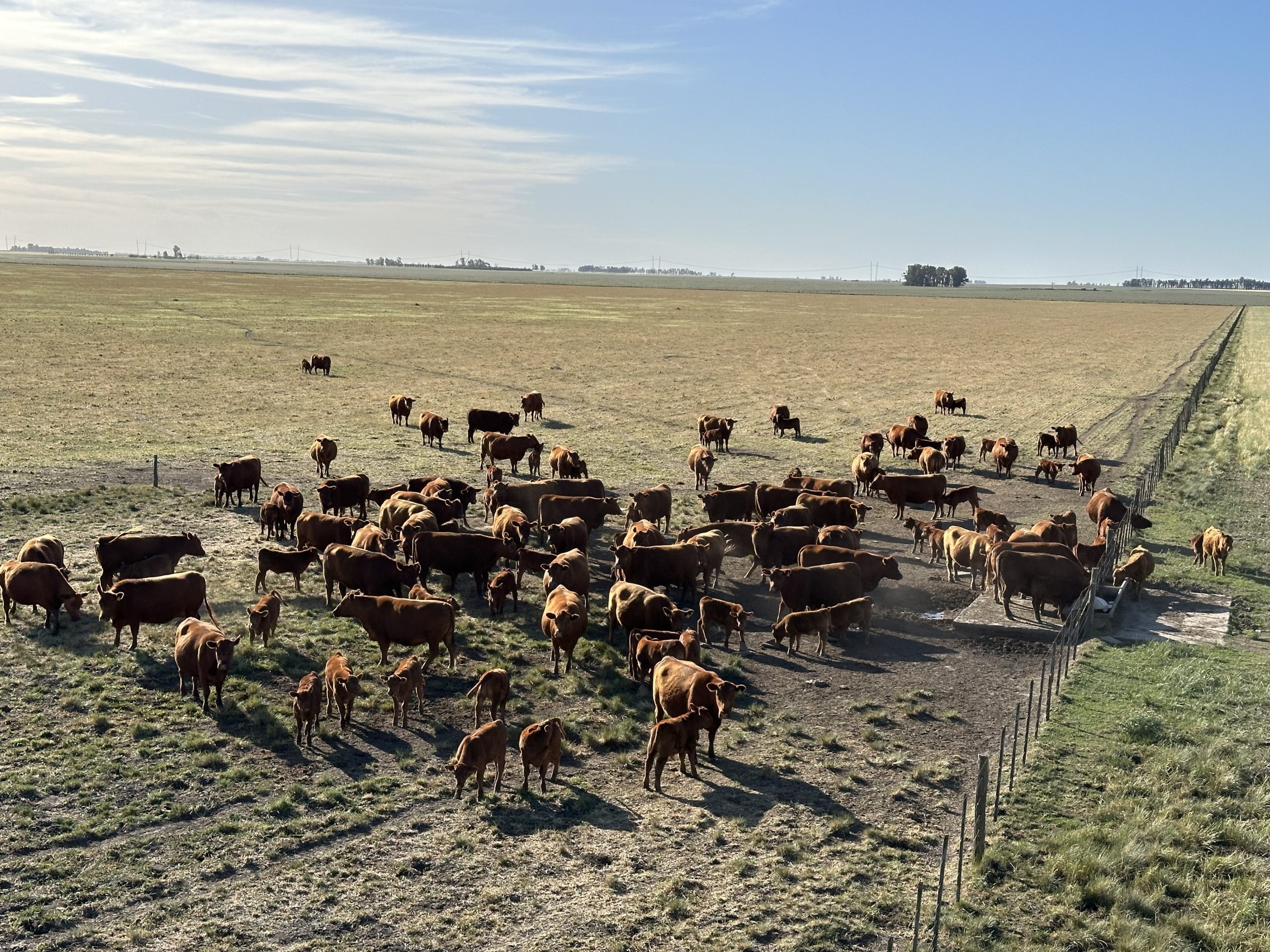 322 hectáreas en Tres Arroyos, campo mixto (66)