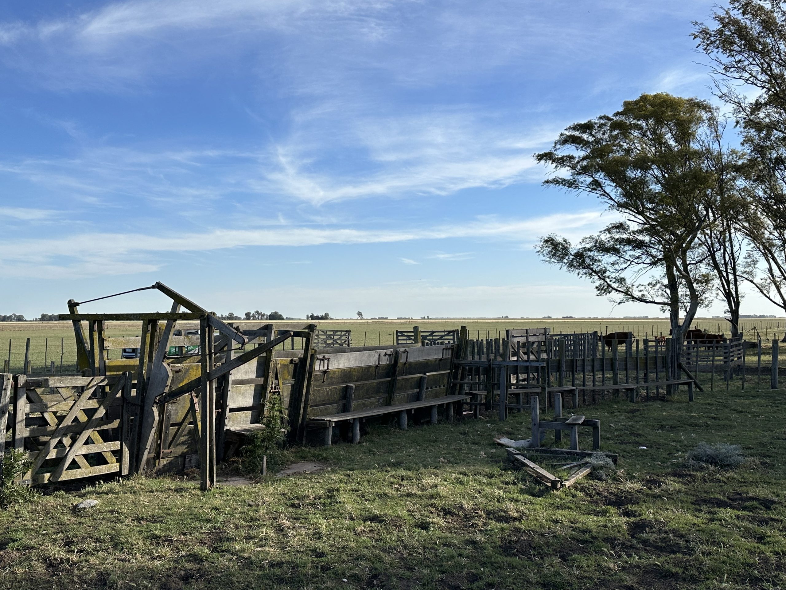 322 hectáreas en Tres Arroyos, campo mixto (88)