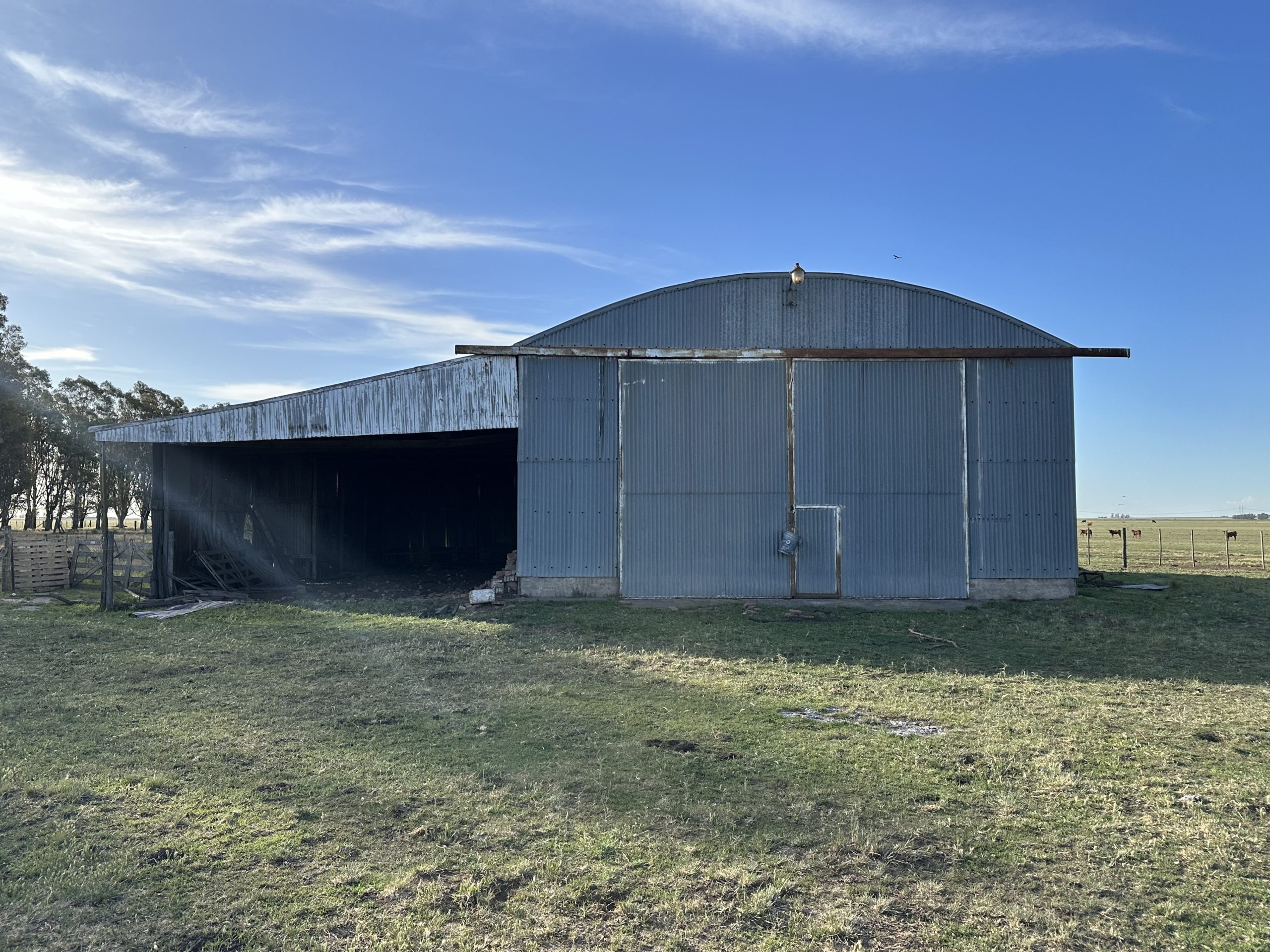 322 hectáreas en Tres Arroyos, campo mixto (91)