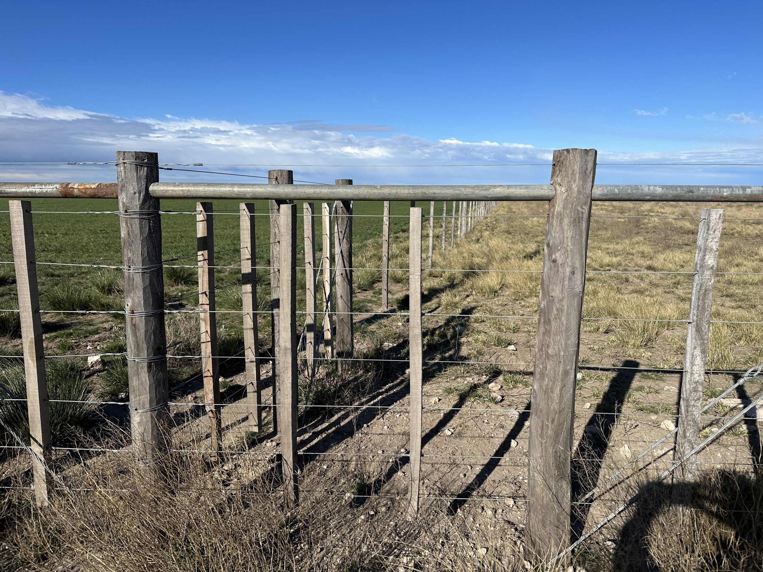 CAMPO EN VENTA DE 373 HECTAREAS EN PUAN (1)