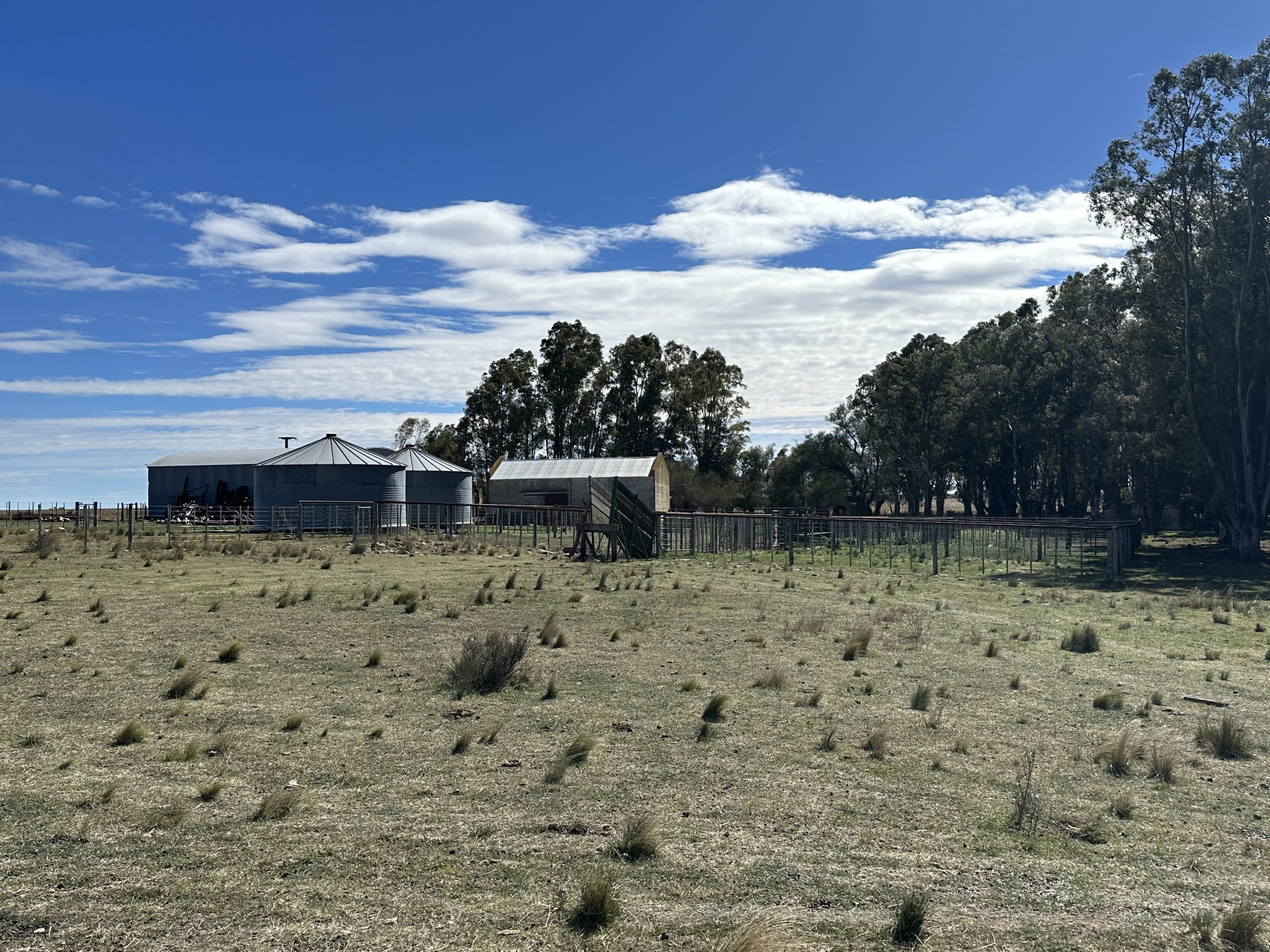 CAMPO EN VENTA DE 373 HECTAREAS EN PUAN (149)