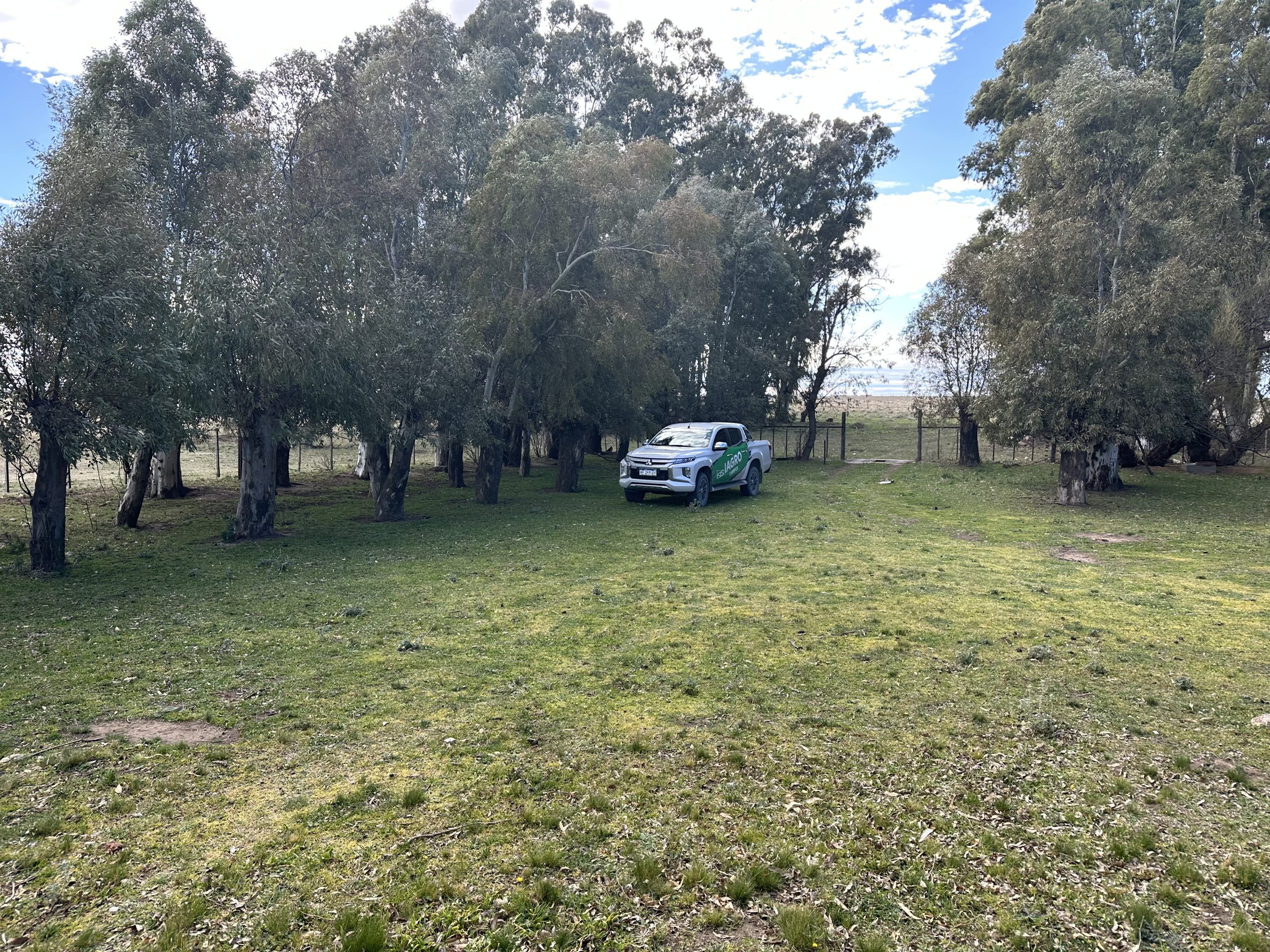 CAMPO EN VENTA DE 373 HECTAREAS EN PUAN (41)