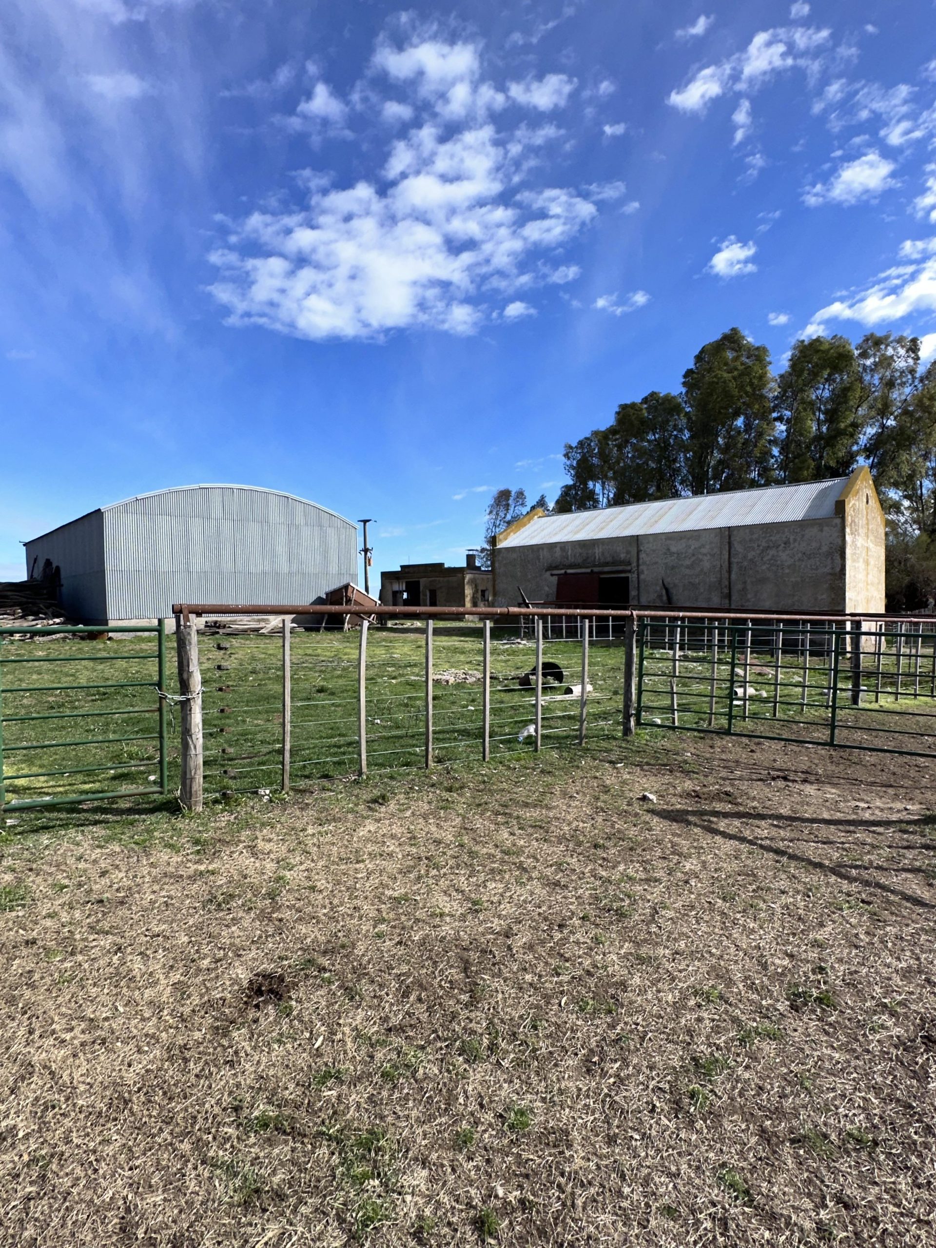 CAMPO EN VENTA DE 373 HECTAREAS EN PUAN (66)