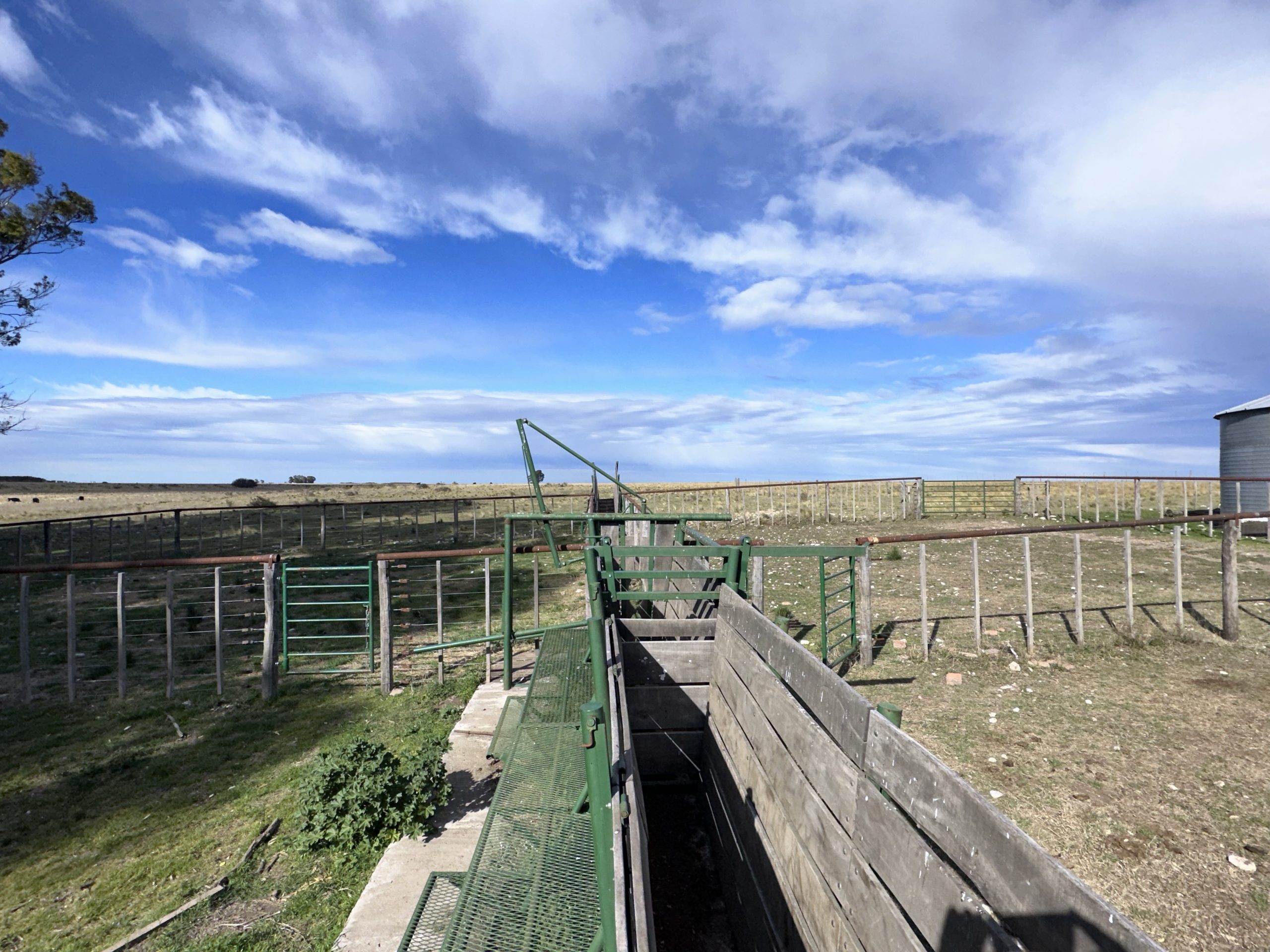 CAMPO EN VENTA DE 373 HECTAREAS EN PUAN (73)