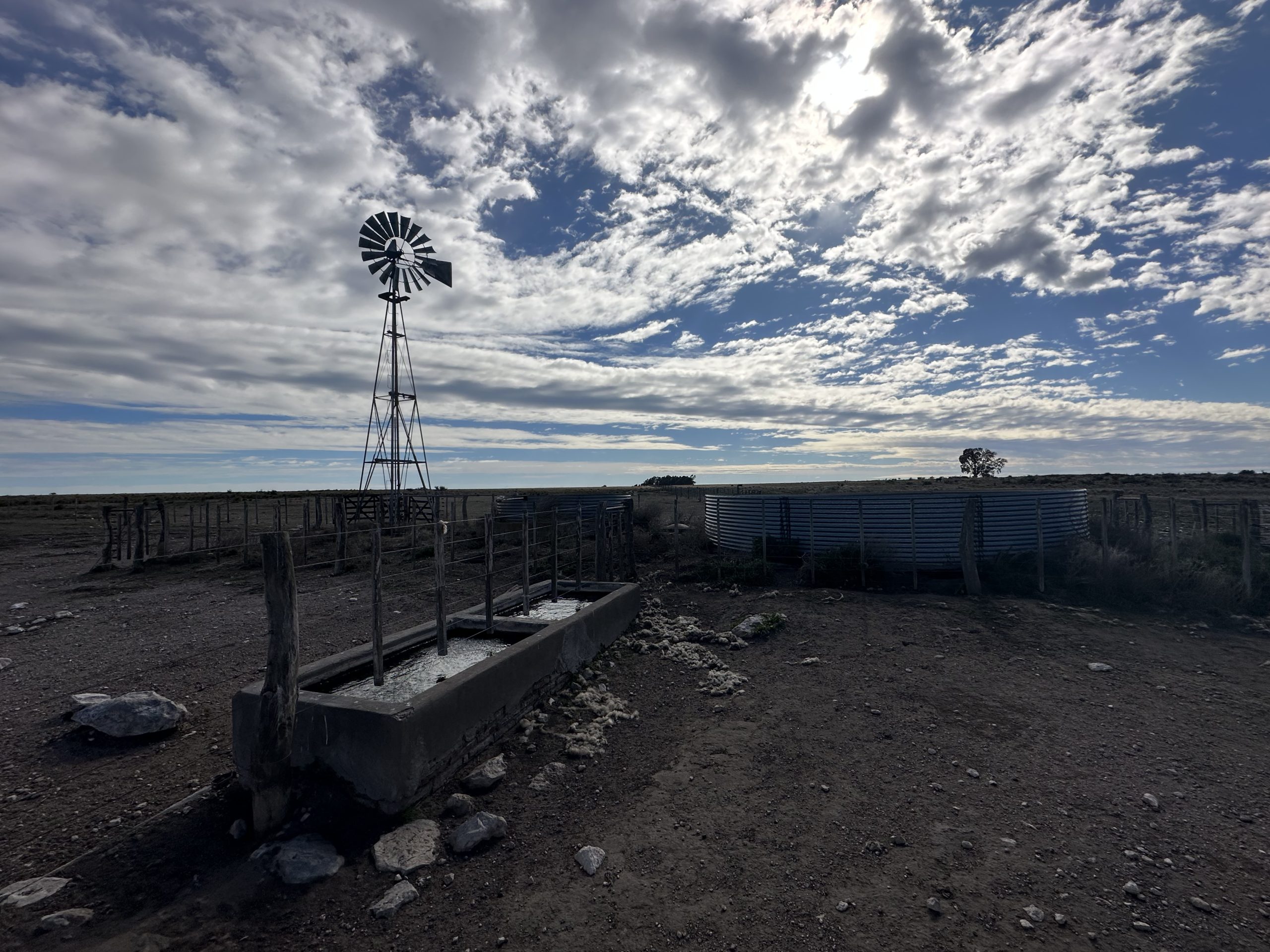 CAMPO EN VENTA DE 373 HECTAREAS EN PUAN (93)