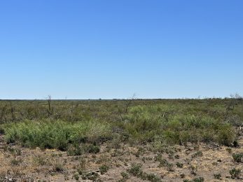 Campo mixto en Juan A. Pradere, con riego, de 733 hectareas (32)