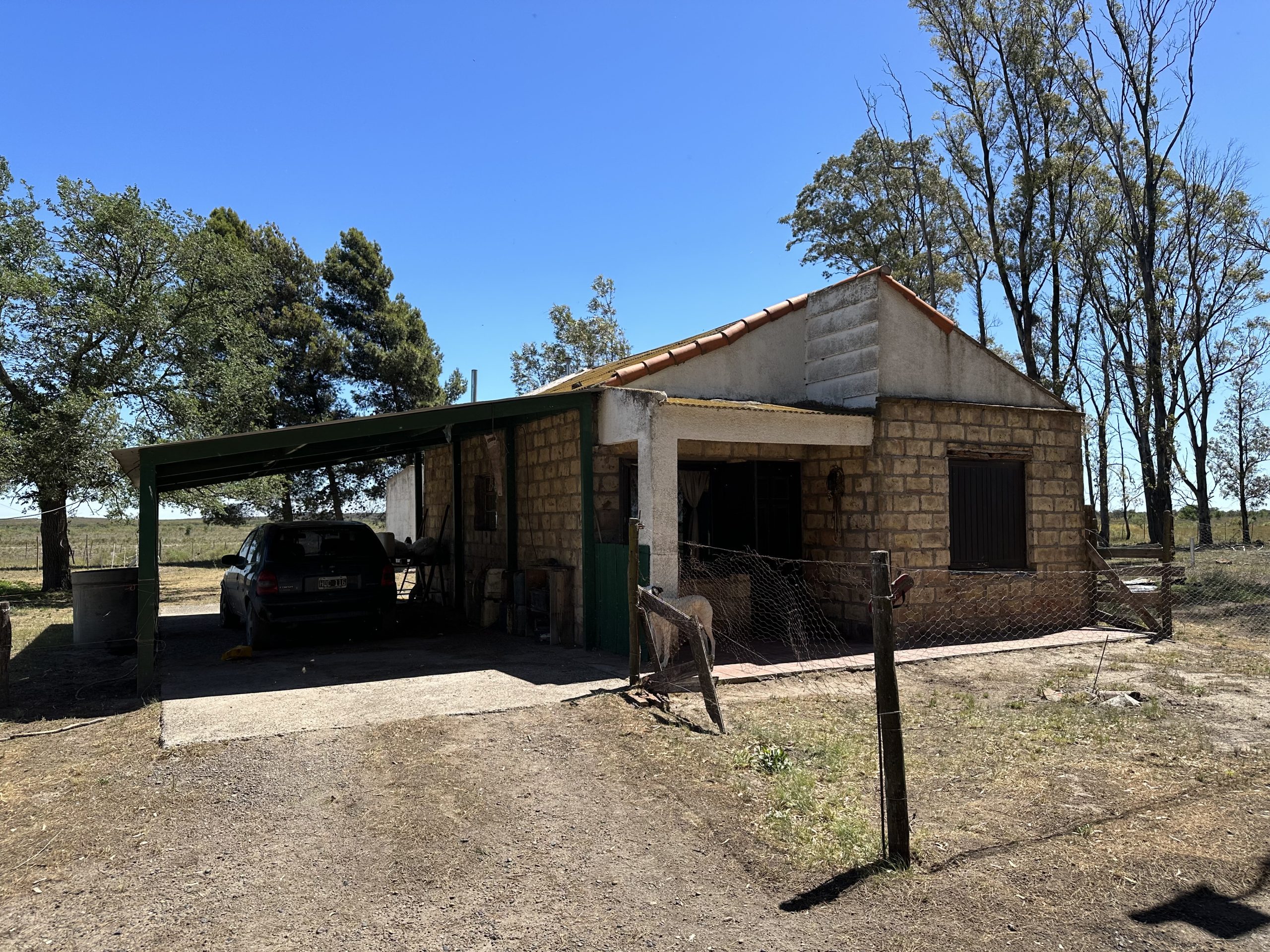 Campo mixto en Juan A