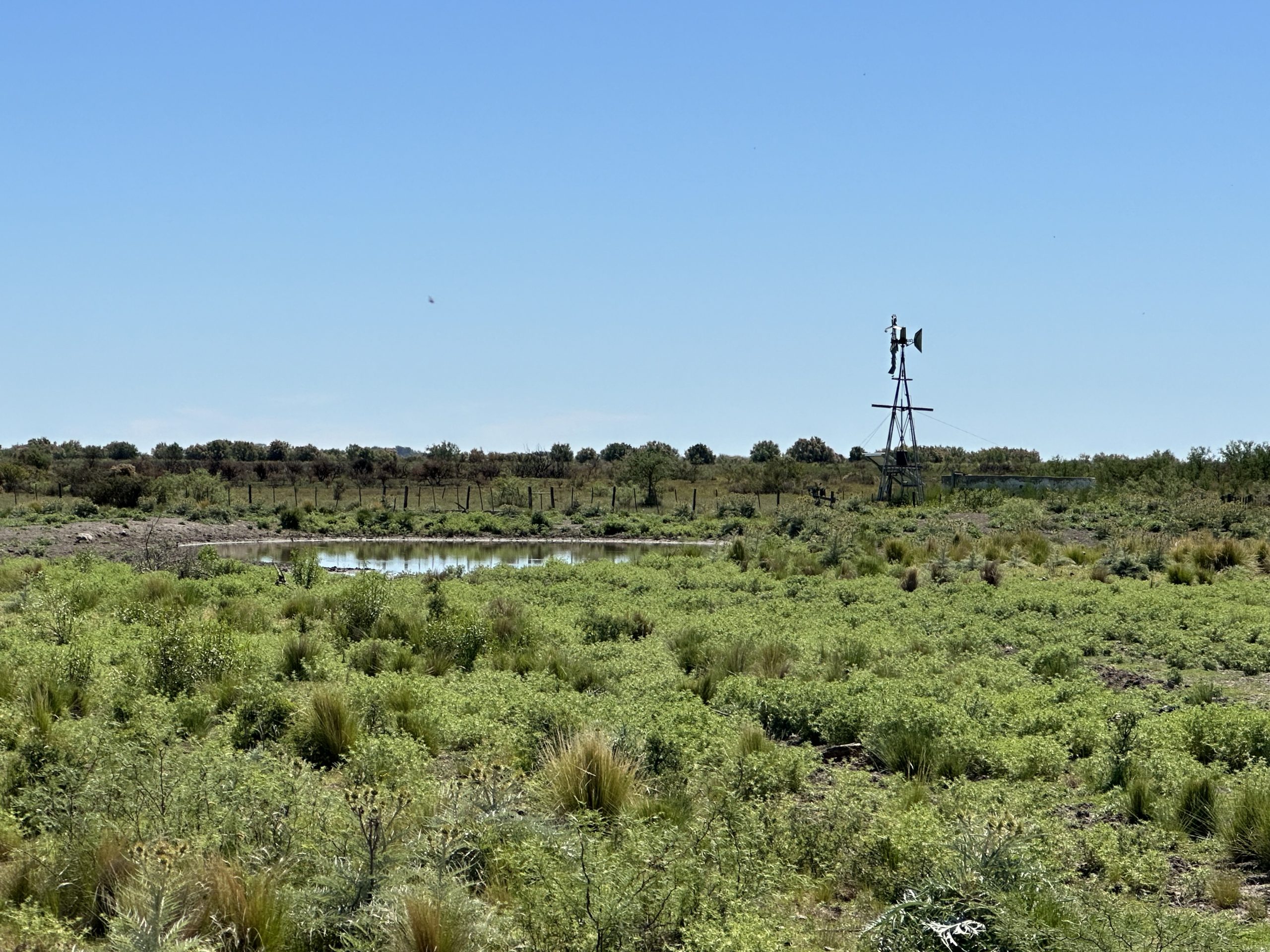 Campo mixto en Juan A