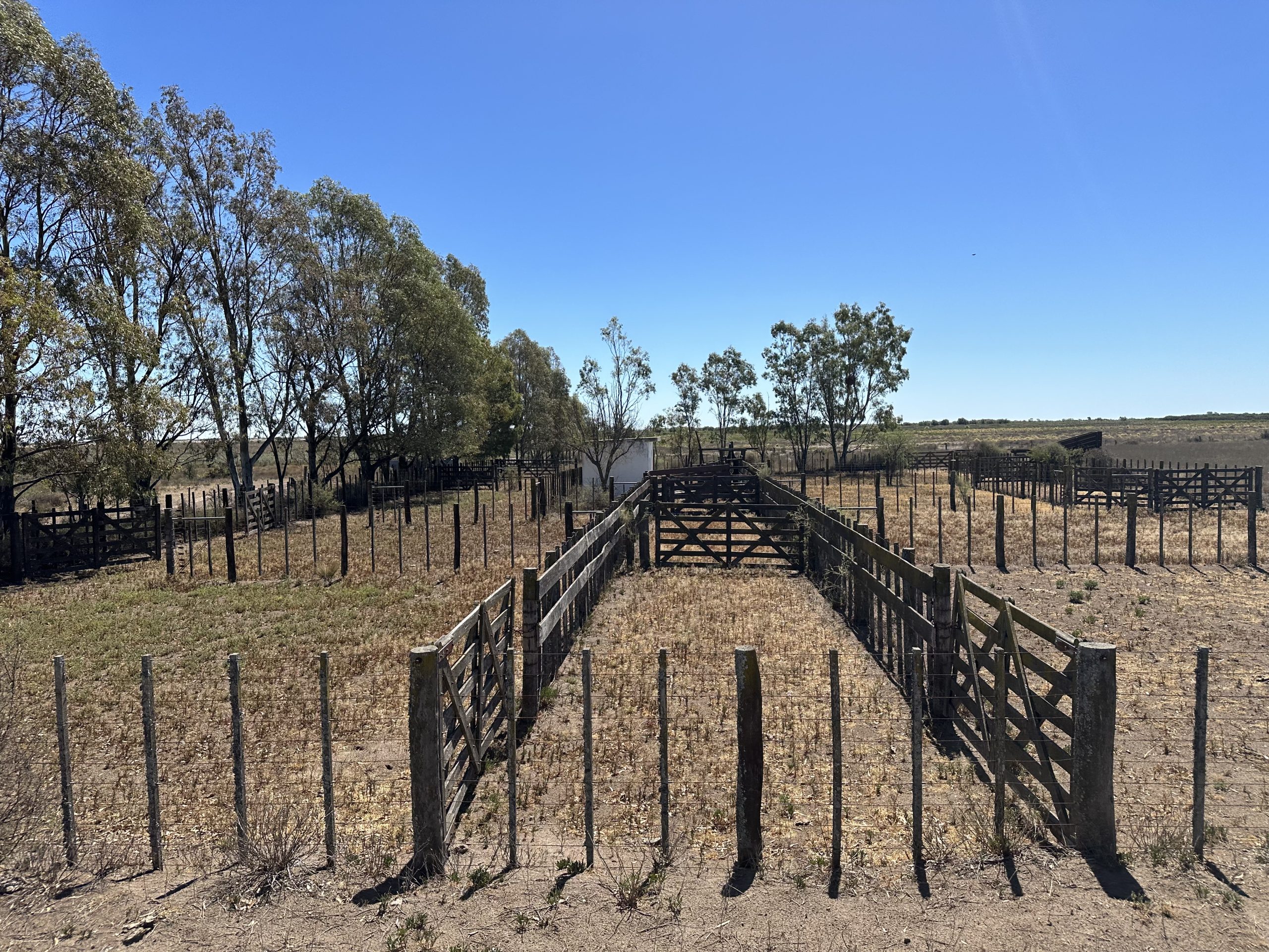 Campo mixto en Juan A